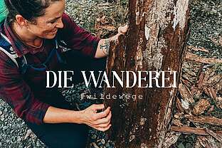 Weg der Sinne Weg der Sinne