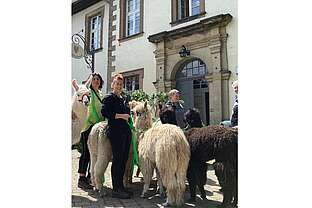 Alpakawanderung im Fackellicht Alpakawanderung im Fackellicht