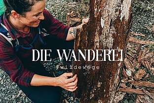 Weg der Sinne Weg der Sinne