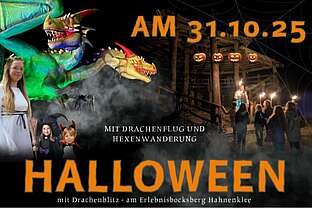 Halloween mit Drachenblitz Halloween mit Drachenblitz