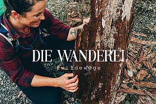 Weg der Sinne Weg der Sinne